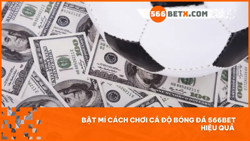 Chiến thuật cá độ hiệu quả tại 566bet – Không cần là chuyên gia vẫn có thể thắng lớn.